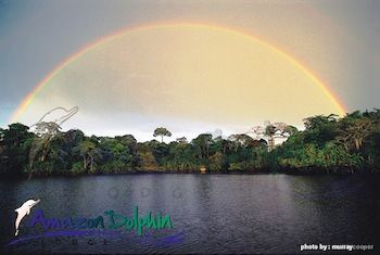 Imagen de los exteriores del Hotel Amazon Dolphin Lodge. Foto 8
