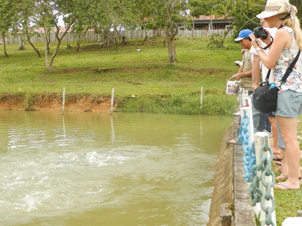 Imagen de los exteriores del Hotel Amazon Eco Tours and Lodge. Foto 7