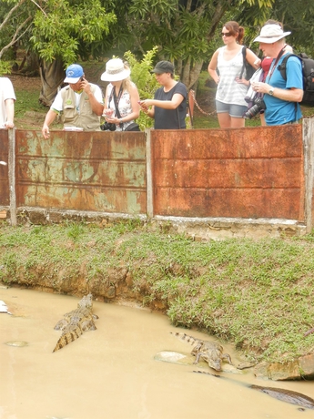 Imagen general del Hotel Amazon Eco Tours and Lodge. Foto 5