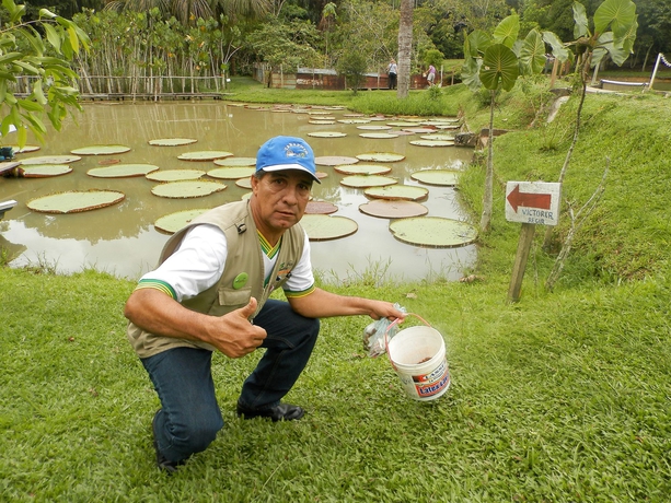 Imagen de los exteriores del Hotel Amazon Eco Tours and Lodge. Foto 8