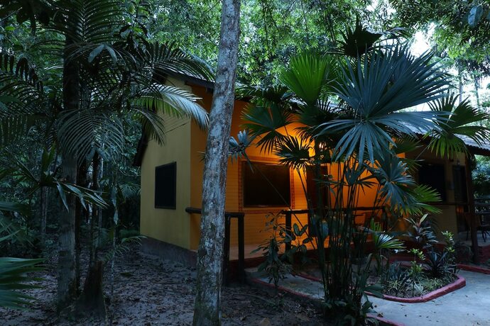 Imagen general del Hotel Amazon Ecopark Jungle Lodge. Foto 13