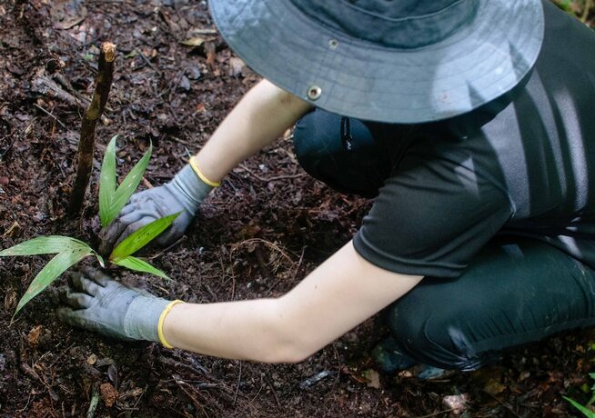 Imagen general del Hotel Amazon Field Station byInkaterra. Foto 4