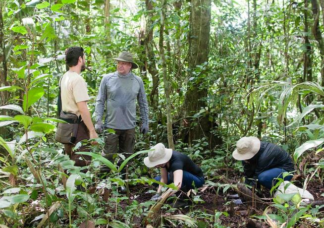 Imagen general del Hotel Amazon Field Station byInkaterra. Foto 9