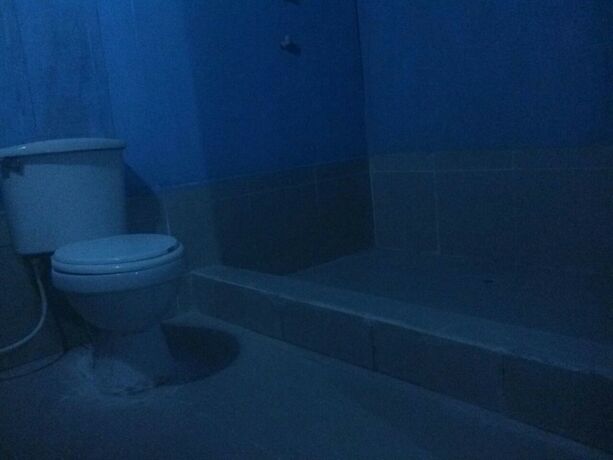 Imagen general del Hotel Amazon King. Foto 7
