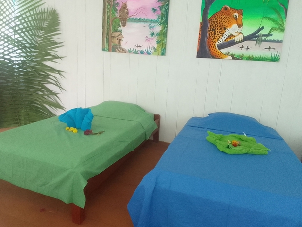 Imagen de la habitación del Hotel Amazon Nativo Lodge. Foto 9