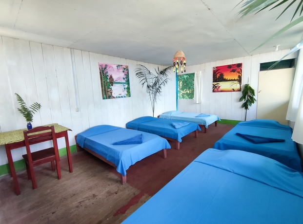 Imagen de la habitación del Hotel Amazon Nativo Lodge. Foto 11