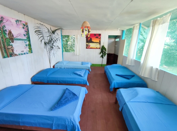 Imagen de la habitación del Hotel Amazon Nativo Lodge. Foto 12