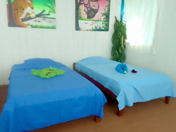 Imagen de la habitación del Hotel Amazon Nativo Lodge. Foto 13
