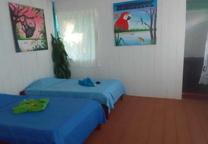 Imagen de la habitación del Hotel Amazon Nativo Lodge. Foto 15