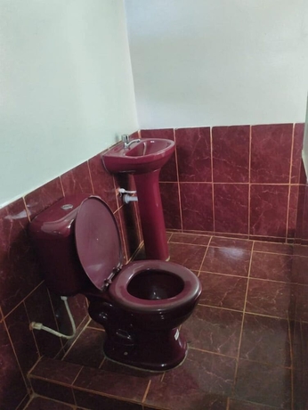 Imagen de la habitación del Hotel Amazon Nativo Lodge. Foto 16