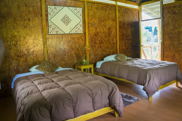 Imagen de la habitación del Hotel Amazon Planet. Foto 16