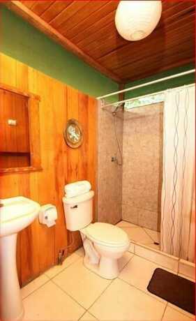 Imagen general del Hotel Amazon Planet. Foto 9