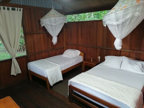 Imagen de la habitación del Hotel Amazon Planet. Foto 19