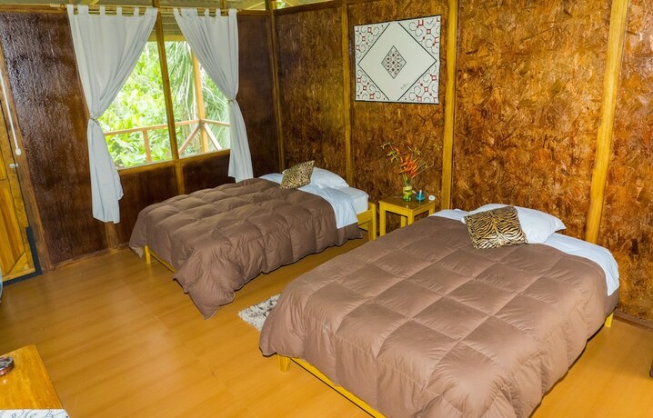 Imagen de la habitación del Hotel Amazon Planet. Foto 20