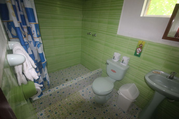 Imagen de la habitación del Hotel Amazon Rainforest Lodge. Foto 5