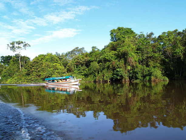 Imagen de los exteriores del Hotel Amazon Rainforest Lodge. Foto 13