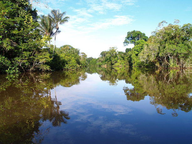 Imagen de los exteriores del Hotel Amazon Rainforest Lodge. Foto 14