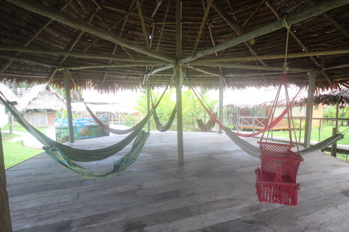 Imagen de la habitación del Hotel Amazon Rainforest Lodge. Foto 10