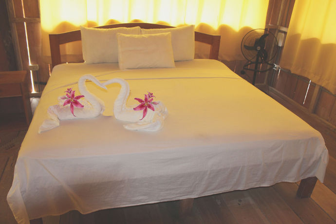 Imagen de la habitación del Hotel Amazon Rainforest Lodge. Foto 11