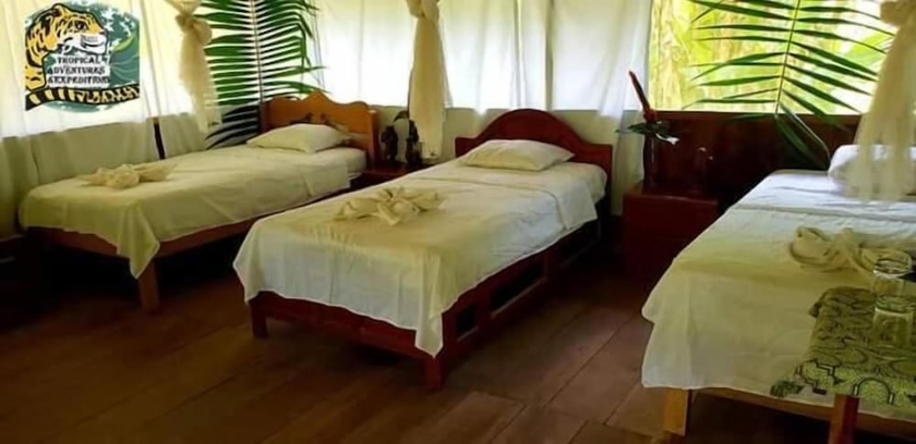 Imagen de la habitación del Hotel Amazon Tropical Expeditions. Foto 7