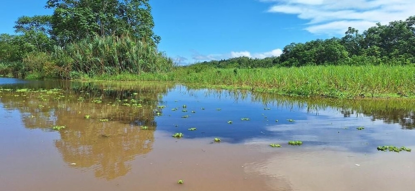 Imagen general del Hotel Amazon Tropical Expeditions. Foto 1