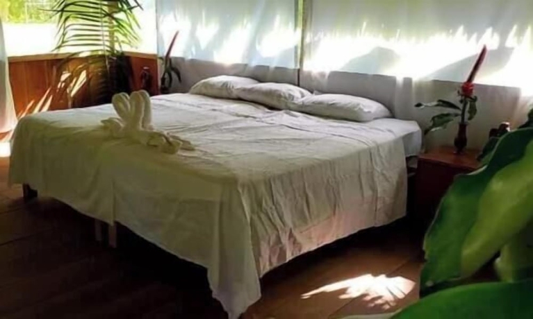 Imagen de la habitación del Hotel Amazon Tropical Expeditions. Foto 10