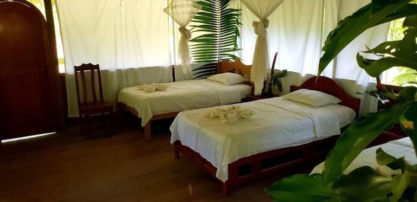 Imagen de la habitación del Hotel Amazon Tropical Expeditions. Foto 11