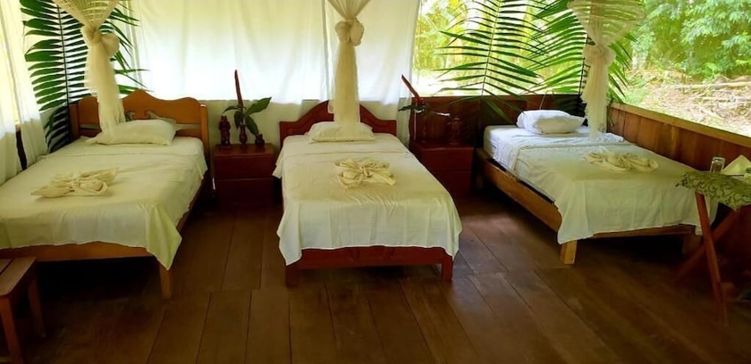 Imagen de la habitación del Hotel Amazon Tropical Expeditions. Foto 13