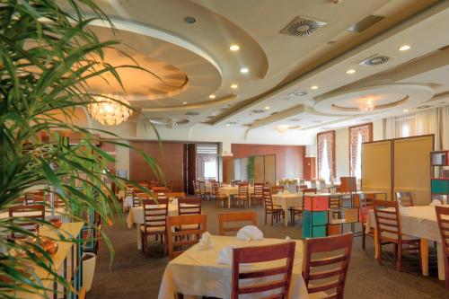 Imagen general del Hotel Amazona. Foto 4
