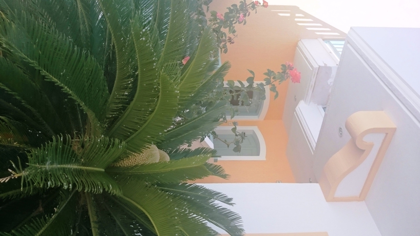 Imagen general del Hotel Amazones Sun Studios. Foto 3