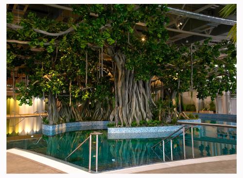Imagen general del Hotel Amazonia. Foto 1