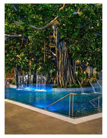 Imagen general del Hotel Amazonia. Foto 9