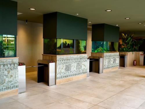 Imagen general del Hotel Amazonia. Foto 15