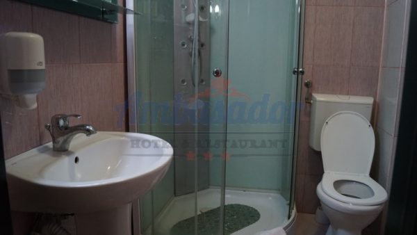 Imagen de los interiores del Hotel Ambasador, Focsani. Foto 8