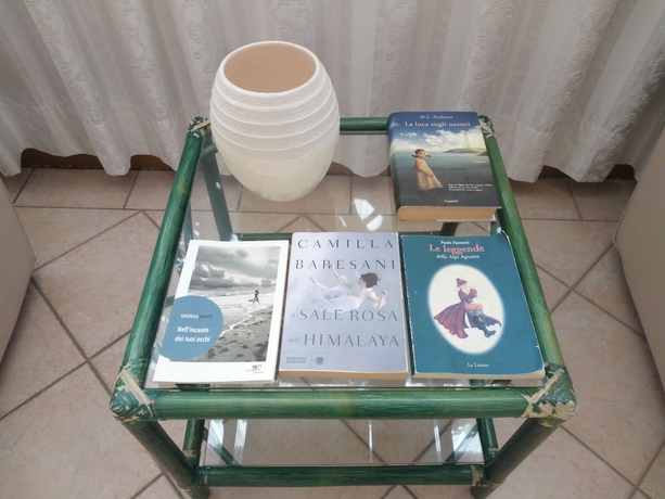 Imagen de los interiores del Hotel Ambasciatori, Marina Di Pietrasanta. Foto 18