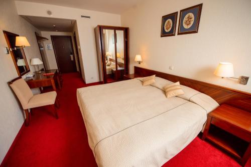 Imagen de la habitación del Hotel Ambassador, Admiralteysky. Foto 8