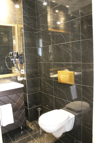 Imagen de la habitación del Hotel Ambassador Almaty. Foto 14