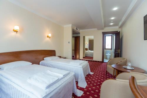 Imagen de la habitación del Hotel Ambassador, Chisinau. Foto 5