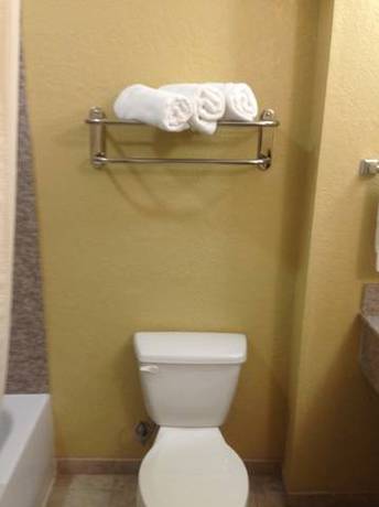 Imagen de la habitación del Hotel Ambassador Inn and Suites Tuscaloosa. Foto 9