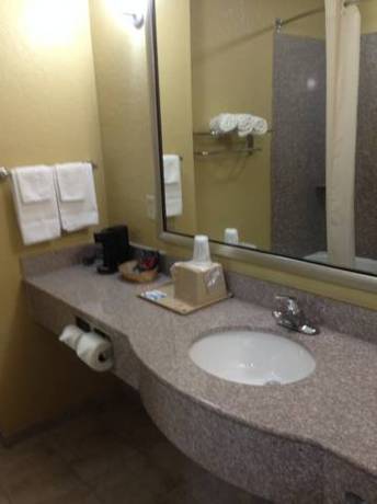 Imagen de la habitación del Hotel Ambassador Inn and Suites Tuscaloosa. Foto 10