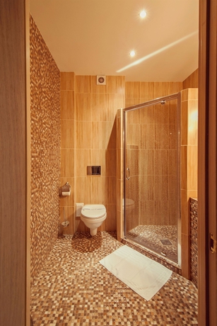 Imagen de la habitación del Hotel Ambassador Plaza, Kiev. Foto 5