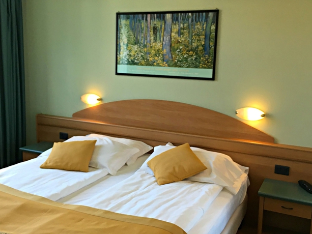Imagen de la habitación del Hotel Ambassador Suite. Foto 12