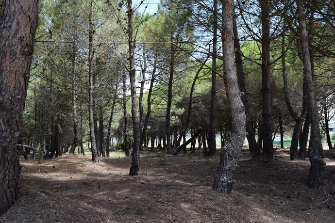 Imagen general del Hotel Amber Albania. Foto 1