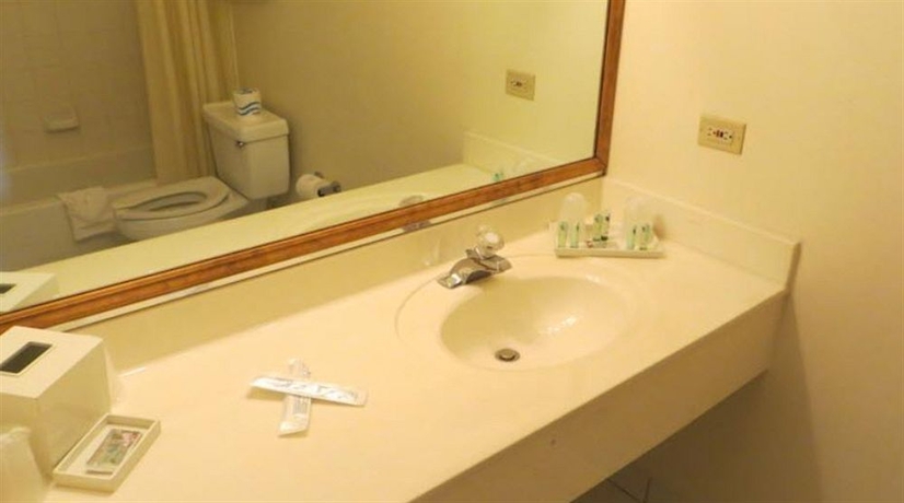 Imagen de la habitación del Hotel Amber Inn, Chicago. Foto 3