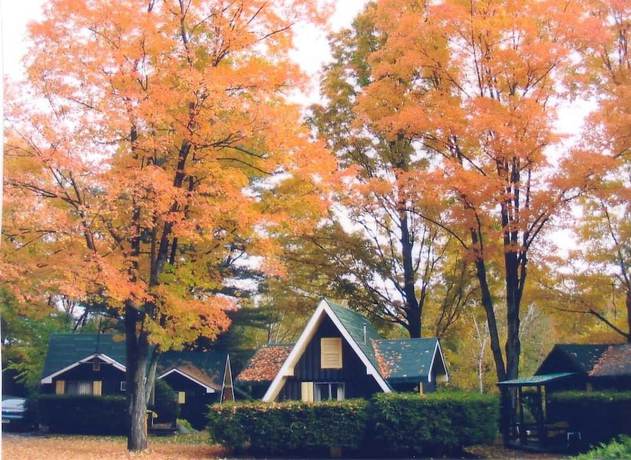 Imagen de los exteriores del Hotel Amber Lantern Lake George Motel and Cottage Rentals. Foto 16