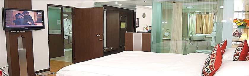 Imagen de la habitación del Hotel Ambica Empire. Foto 7