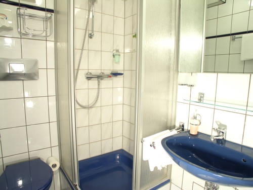 Imagen general del Hotel Ambient Hotel Zum Schwan. Foto 4