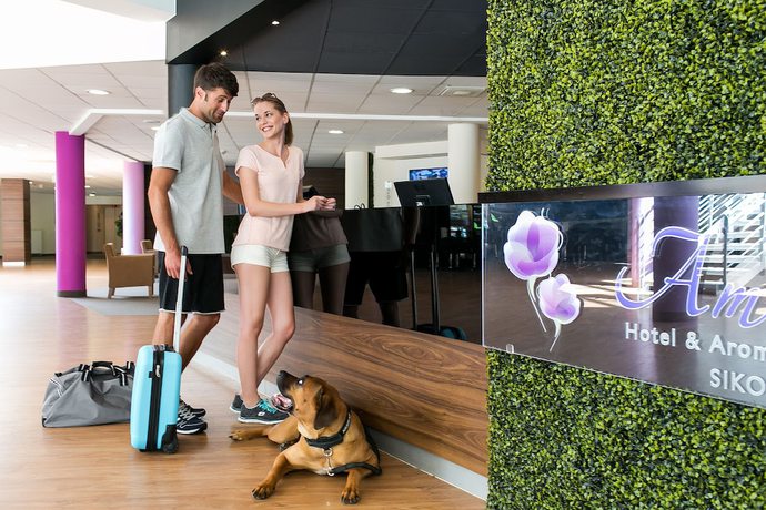 Imagen de los interiores del Hotel Ambient and Aromaspa Sikonda. Foto 13