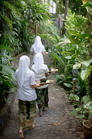 Imagen de la piscina del Hotel Ambong Rainforest Retreat. Foto 10