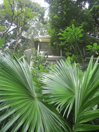 Imagen de los exteriores del Hotel Ambong Rainforest Retreat. Foto 7